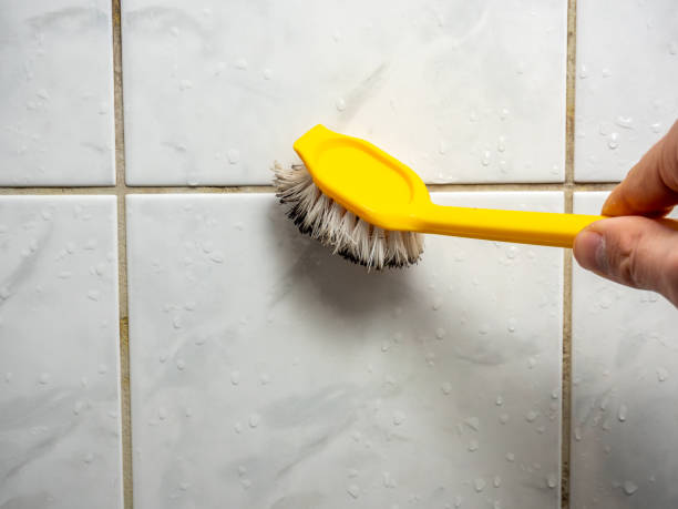 Best Insurance-Related Mold Remediation in Plano, TX