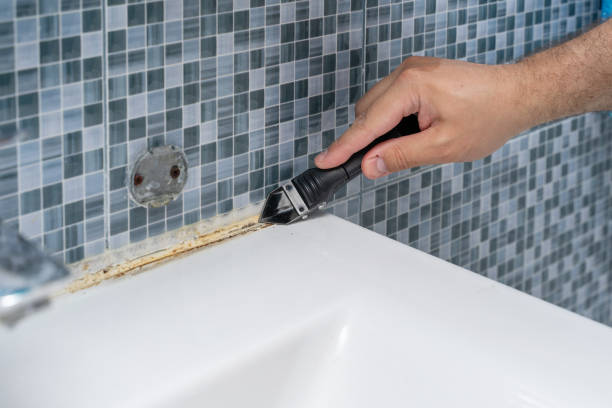 Best Mold Remediation for Schools in Plano, TX